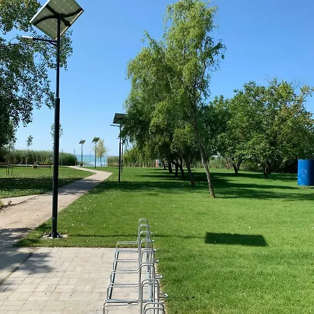 Nóra *